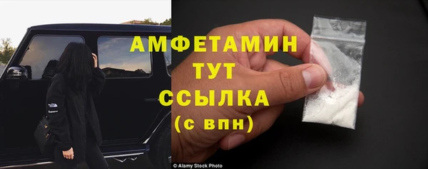 mdpv Бородино