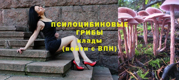 mdpv Бородино