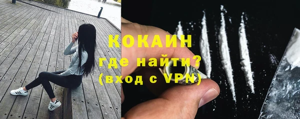 mdpv Бородино